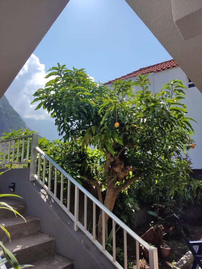 شقة Casa Da Avo Rosa São Vicente المظهر الخارجي الصورة